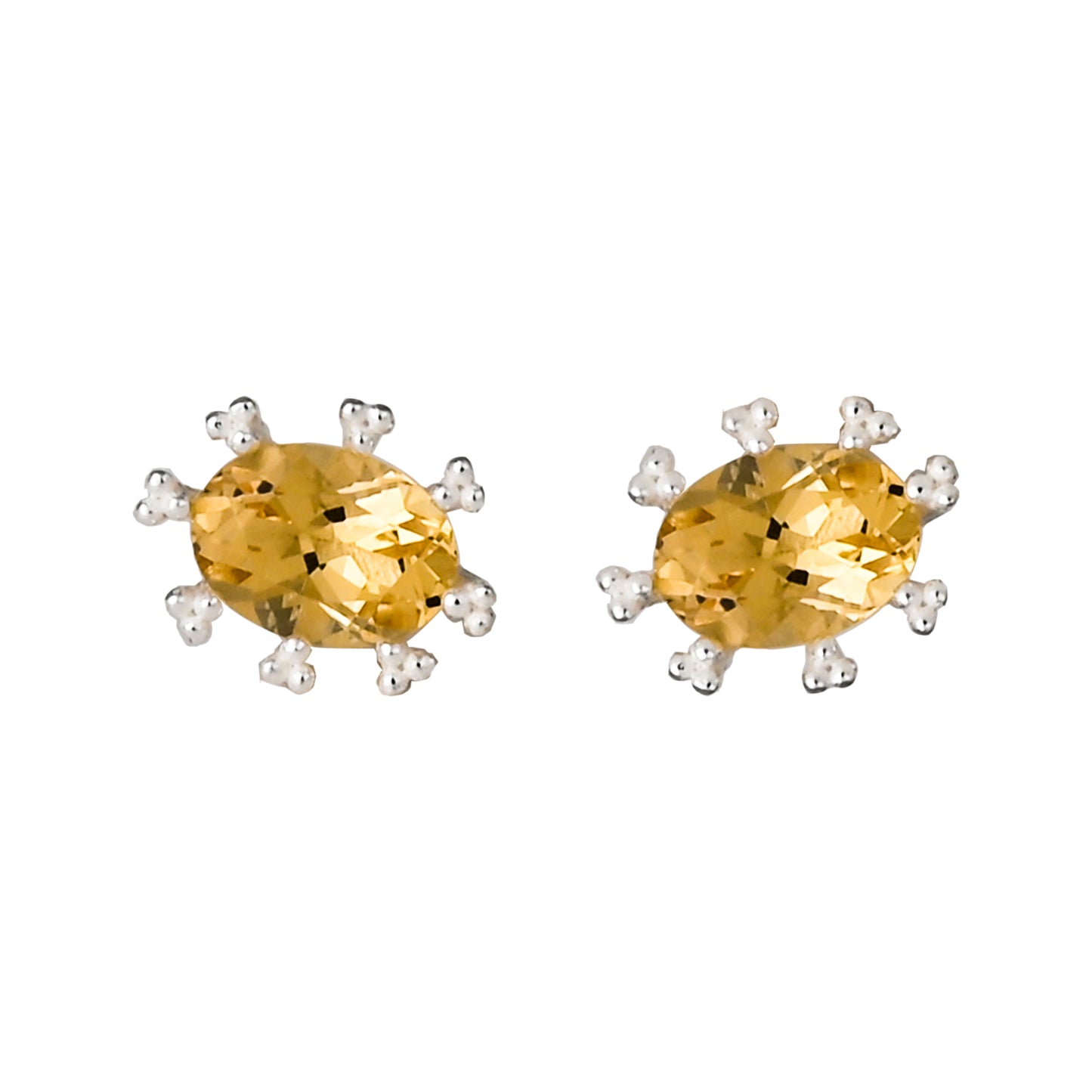 Oval Ear Studs