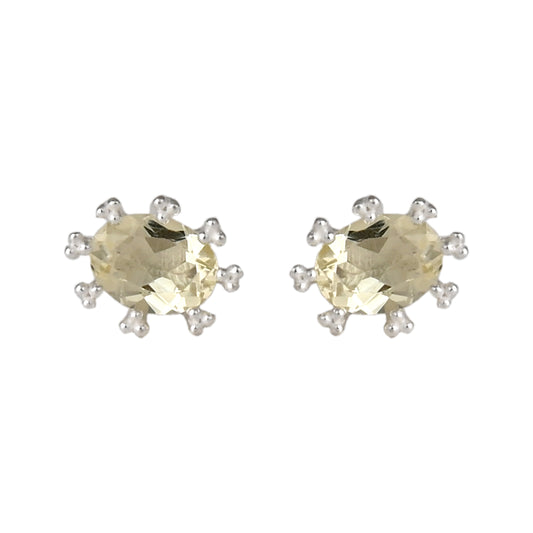 Oval Ear Studs