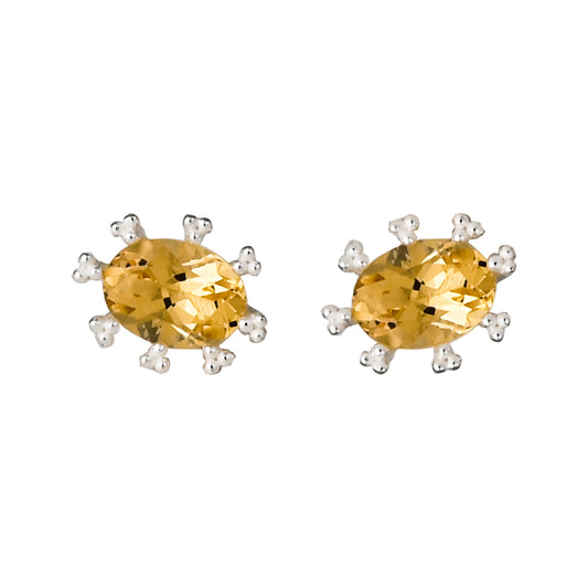 Oval Ear Studs