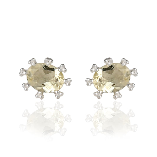 Oval Ear Studs