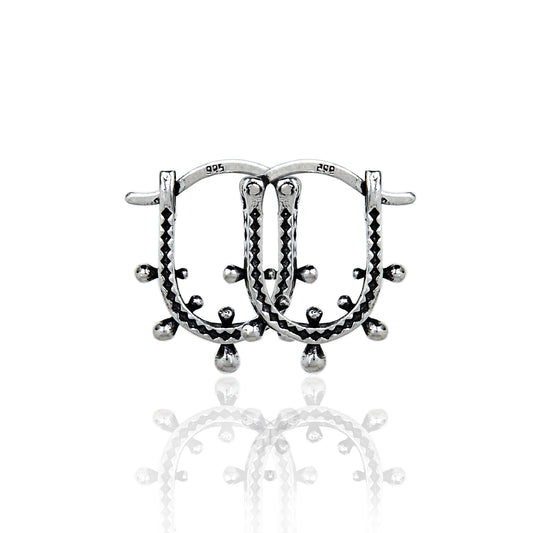 Designer Ear Hoops