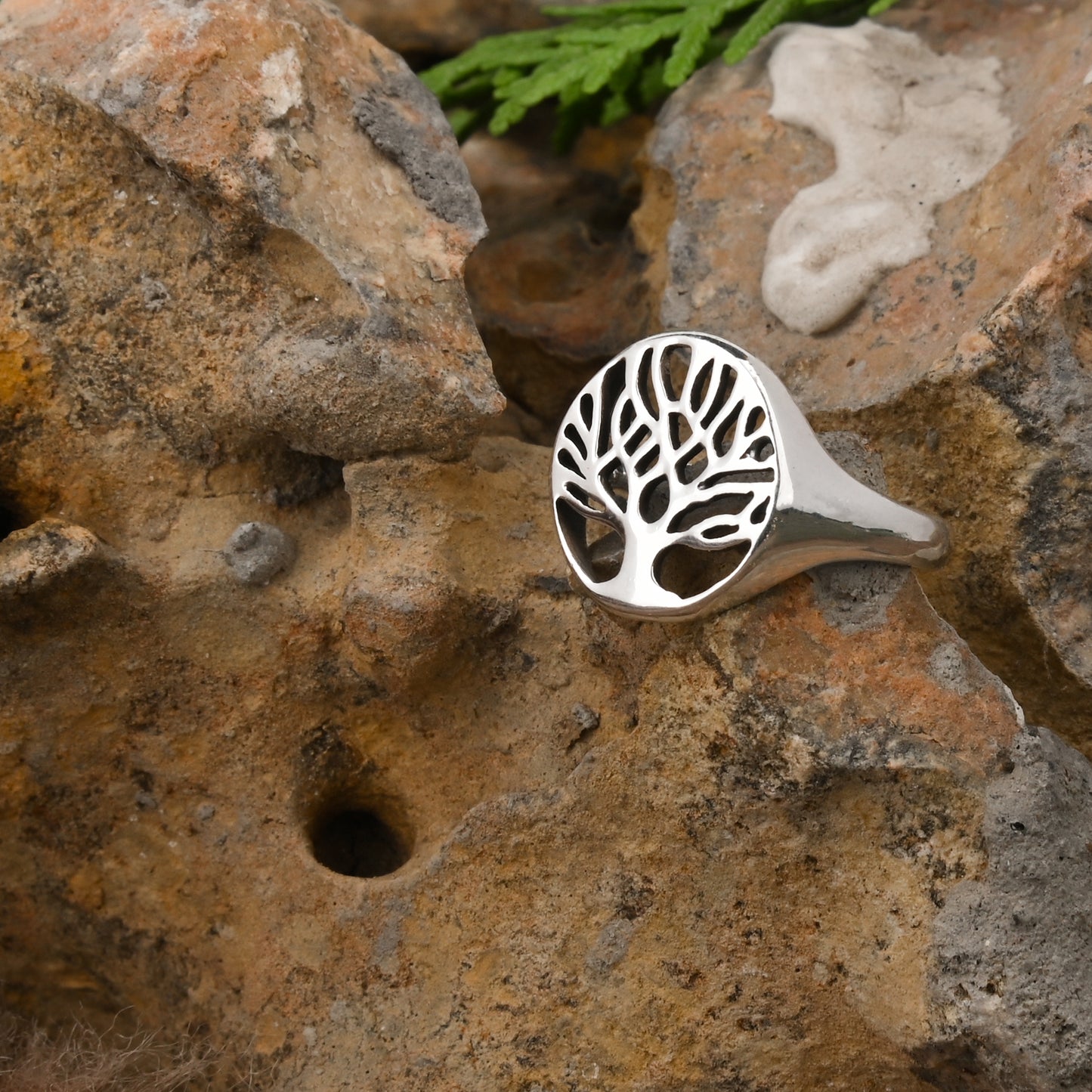 Tree Of Life Ring